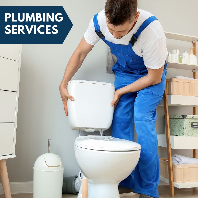 Plumbing Company in Wesley Chapel, FL